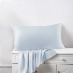 Alice Blue Silk Pillowcases Australia