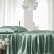 Celadon Green 22 Momme Mulberry Silk Fitted Sheet Australia